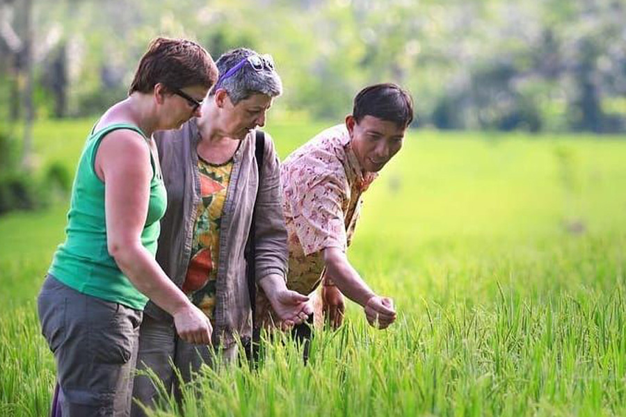 Rice Field Walk Great Mountain Views resort